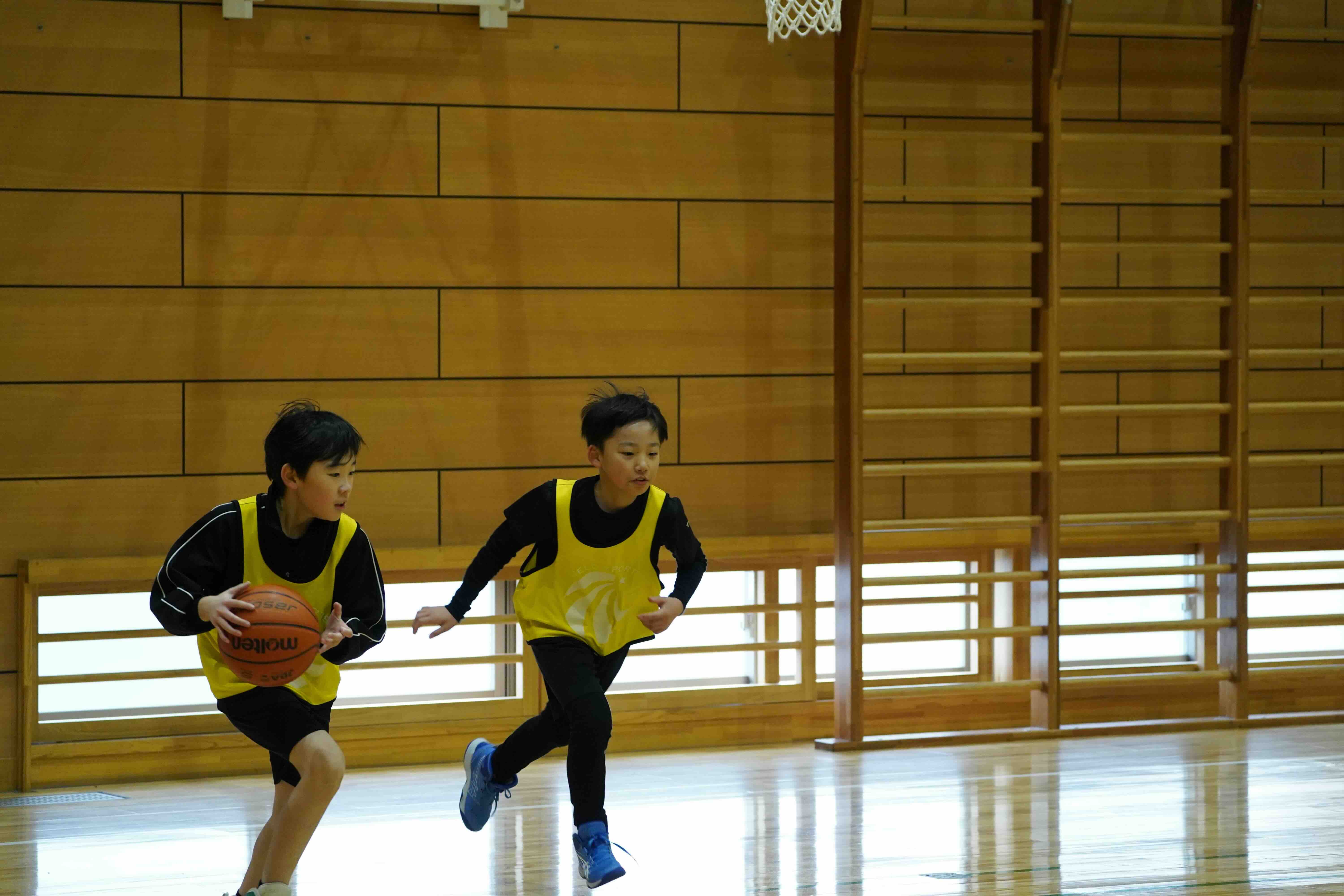 5. 活動の様子